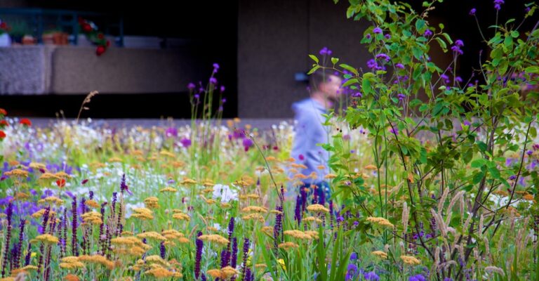 Nigel Dunnett | From Grey to Green